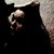 :iconoriginal-fowtow: