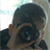 :iconoriginal-tin: