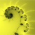 :iconorikal:
