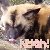 :iconorion444: