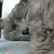 :iconorion52898: