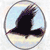 :iconorionimaging: