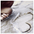 :iconoripiano: