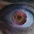 :iconorkforce300: