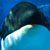:iconorkidforever: