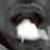 :iconorm-embar: