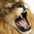 :iconornghze: