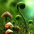 :iconorphan-ani: