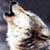 :iconorphen90: