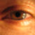 :iconorpheus-blue: