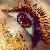 :iconorquidea-negra: