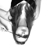:iconOrrlando:
