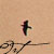 :iconortoglotus-finevay: