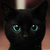 :iconorutrak: