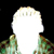 :iconosiris-nix: