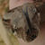 :iconosmanthus1031: