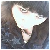 :iconosmoz14: