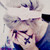 :iconosnapitzme: