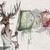 :iconosopolar18: