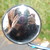 :iconostepop95: