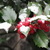 :iconostrolist: