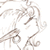 :iconotaku-d: