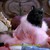 :iconotakucat58: