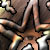 :iconotakurocker: