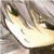 :iconotakuxofxhappinessx: