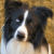 :iconothal: