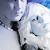 :iconotherosidexofodawn: