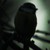 :iconotium-terrae: