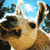 :iconoto2605: