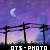 :iconots-photo: