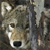 :iconotsegoundead: