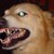:iconottawata: