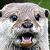 :iconotterconfusion: