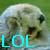 :iconotterlolplz:
