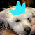 :iconoueenlady:
