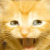 :iconouisee: