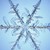 :iconouite-like-the-snow: