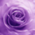 :iconoujdagirl: