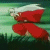 :iconoujo: