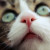 :iconoupsie04: