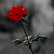 :iconour-sins: