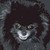 :iconourdigitalworld: