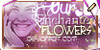 OurEnchantedFlowers :iconourenchantedflowers: