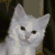 :iconourlittlesnowy: