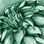 :iconourmission: