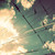 :iconoursgris: